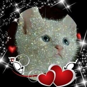 Meet your Posher, Winfrey